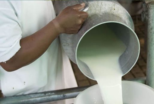 Con una inversión de $30 mil millones, el MinAgricultura compró 10 millones 219 mil 974 litros de leche. Foto: Oficina de prensa. Leche en Colombia