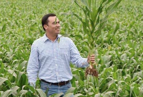 Ganadería, ganadería colombia, Ganadería colombiana, CONtexto ganadero, noticias ganaderas, noticias ganaderas colombia, agricultura, agricultura méxico, cultivo maix, maíz, maíz méxico, hibrido de maiz, hibrido de maiz mexico, agricultores mexico, agricultores