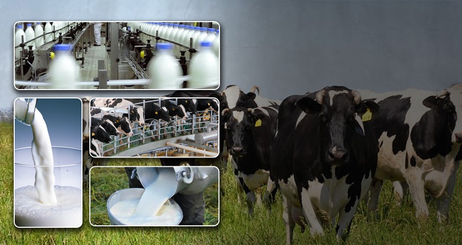 Se firmó pacto por el crecimiento del sector lechero | CONtexto Ganadero