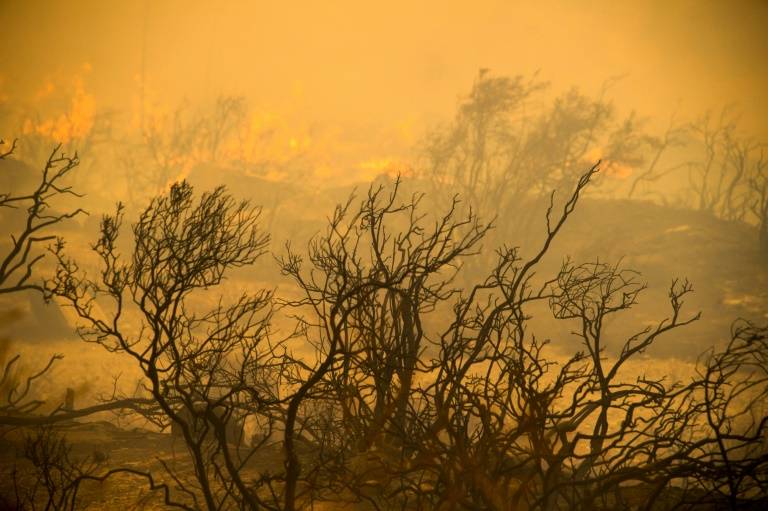 eventos climáticos en el mundo