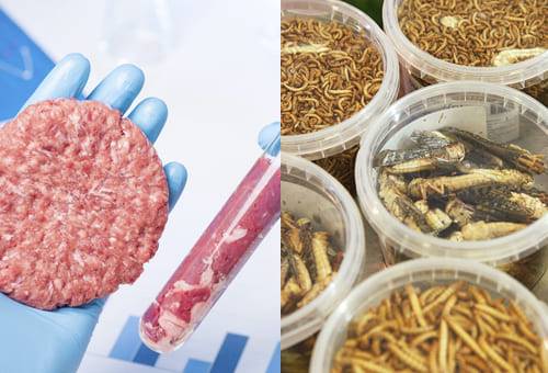 ganadería, ganadería colombia, noticias ganaderas, noticias ganaderas colombia, contexto ganadero, ganadería, carne cultivada, carne vegetal, carne natura, carde de vacuno, tendencias consumidores de carne, tendencia consumidores de carne cultivada   