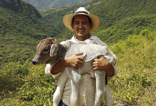 ganaderia, ganaderia colombiana, ganaderia colombia, contexto ganadero, noticias ganaderas, noticias ganaderas colombia, juan manuel herrera, inseminacion artificial, fenotipos, nacimiento animales, pastoreo rotacional, suplementacion alimenticia, ganadero, tolima, ganadero colombia, ganaderos, ibague