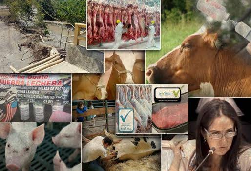 noticias sobre ganadería colombiana