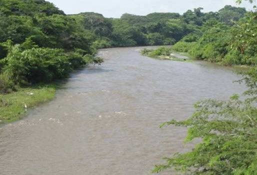 Extraer agua de la represa del río Ranchería, escasez de agua y comida, tres esquemas de extracción, proyecto que solucionaría escasez de agua, San Juan del Cesar, evitar muerte de bovinos, agua para los animales, CONtexto ganadero, noticias de ganadería colombiana.