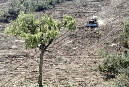 Suelo, importancia del suelo, calidad suelo, degradación del suelo, prácticas que degradan el suelo, Suelo es recurso no renovable, importancia suelo agricultura, suelos Colombia, suelo recurso, guía buenas prácticas para gestión y uso sostenible del suelo en áreas rurales de la FAO, uso del suelo agrícola en Colombia, uso del suelo en colombia, suelo ganadería, suelo agricultura, Ministerio de Ambiente, FAO, Organización de las Naciones Unidas para la Alimentación y la Agricultura, CONtexto ganadero