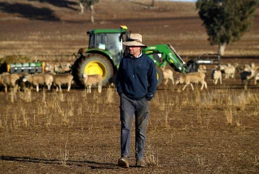 Australia, sequía, Los ganaderos australianos, la peor sequía en Australia, pastos, sacrificio de los animales, agua, racionar el agua, estado de Queensland, suicidios, Ganadería, ganadería colombiana, noticias ganaderas, noticias ganaderas Colombia, CONtexto ganadero