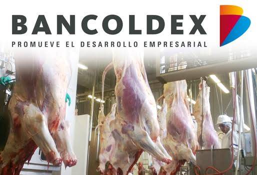 plantas de beneficio animal