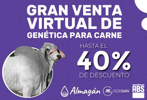 Feria, material genético, Almagán, ABS, pajillas, embriones, razas, mejoramiento, crecimiento, hato, cárnicas, criollas, cebuína, taurinas, británicas, continentales, promociones, agenda, precio, Angus, Brangus, Nelore, brahman rojo, brahman gris, Velásquez, blanco orejinegro, angus rojo, brangus negro, ganadería, ganadería Colombia, noticias ganaderas Colombia, contexto ganadero
