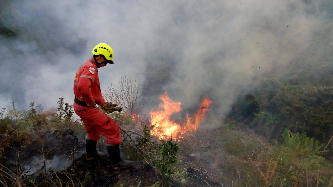 Ganadería, ganadería colombia, noticias ganaderas, noticias ganaderas colombia, CONtexto ganadero, CAM, CAM Huila, Corporación Autónoma Regional del Alto Magdalena, IDEAM, incendios forestales Instituto de Hidrología Meteorología y Estudios Ambientales, Huila, Tolima, Lérida, Purificación, Planadas, Suarez, Melgar, Natagaima, murillo, secretaría de Ambiente, Gobernación del Tolima