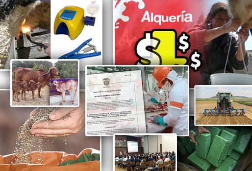 Tómese 5 minutos de su tiempo para darle una lectura rural a los temas que fueron noticia esta semana. Foto: CONtexto ganadero. resumen de noticias sector ganadero, resumen de noticias sector ganadero fedegán, resumen de noticias sector ganadero colombia, resumen de noticias sector ganadero lafaurie, CONtexto ganadero