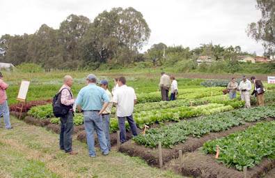 Productores agropecuarios