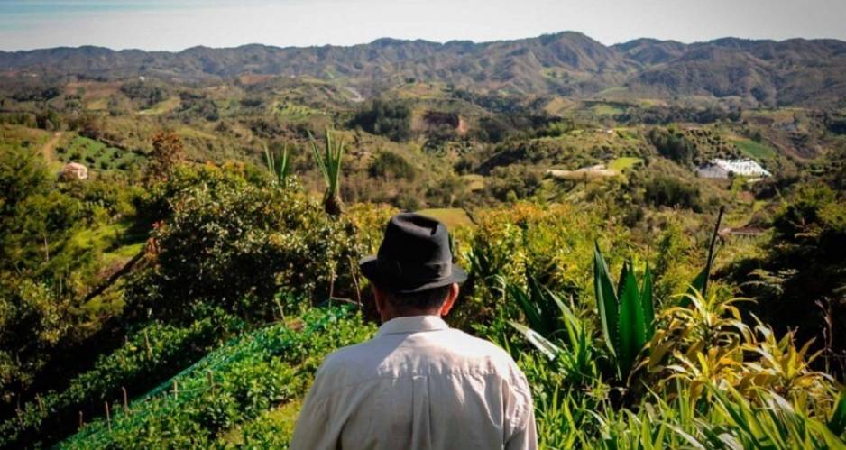 Colombia, catastro, catastro multipropósito, política pública de catastro multipropósito, Iván Duqe, Conpes 5958, CONtexto ganadero, noticias ganaderas colombianas, Farc, Desarrollo rural integral, Acuerdo con las Farc