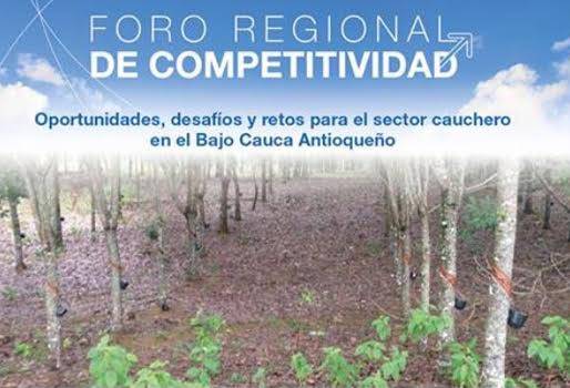 Productores caucheros, Cámara de Comercio de Medellín, Caucasia, Caucho