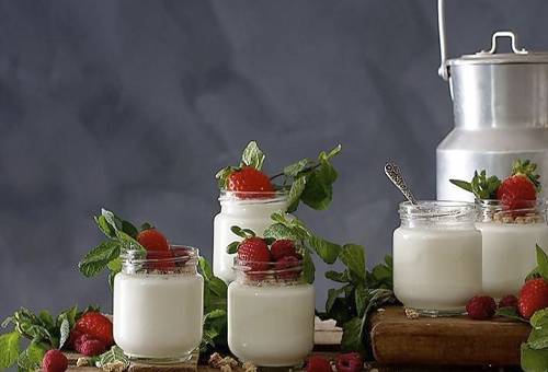 Como hacer yogur en casa con fermentos naturales 