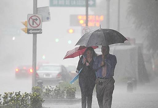 Quindío, Caldas, Comité de Ganaderos del Quindío, Comité Departamental de Ganaderos de Caldas, aprovechamiento de las lluvias, afectaciones Colombia fenómeno de El Niño, afectaciones Quindío Caldas, ganaderos aprovechan lluvias, lluvias abril 2016, ganaderos Eje Cafetero, CONtexto ganadero, ganaderos colombia