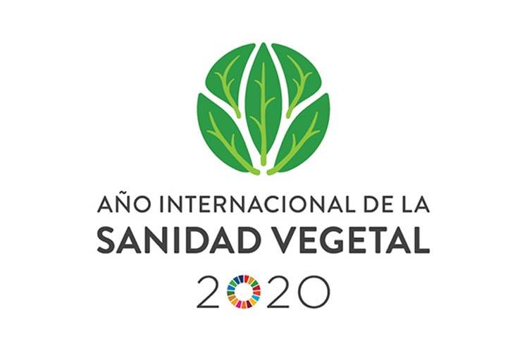 Ganadería, ganadería colombia, noticias ganaderas, noticias ganaderas colombia, CONtexto ganadero, Secretaría de Agricultura y Desarrollo Rural de México, Sader, Año Internacional de la Sanidad Vegetal, Consejo Nacional Consultivo Fitosanitario, Conacofi, ONU, FAO, Convención Internacional de Protección Fitosanitaria, CIPF, sanidad vegetal, Manejo Integrado de Plagas