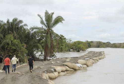 Ganadería, ganadería colombia, noticias ganaderas, noticias ganaderas colombia, CONtexto ganadero, inundaciones en La Mojana, tragedia en la mojana, reunión con el ministerio de agricultura en la mojana, situación de la mojana, perdidas de ganado en la mojana, hambruna en la mojana, invierno 2021, incentivo del gobierno en la mojana