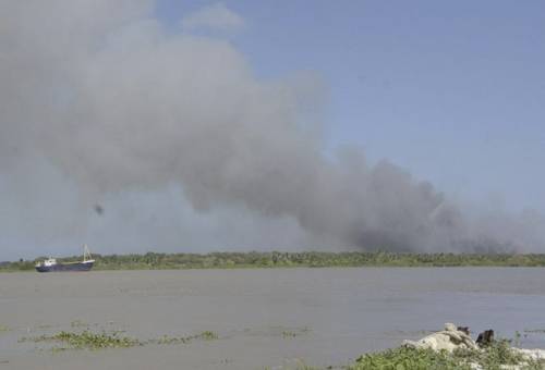 ganadería, ganadería colombia, ganadería colombiana, contexto ganadero, noticias ganaderas, noticias ganaderas colombia, quemas, quemas magdalena, incendios forestales, incendios forestales magdalena, verano magdalena, alta temperatura magdalena, ganaderos magdalena, ganaderos, ganaderos colombia