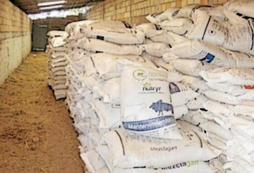 Reactivar bodegas de suplementos alimenticios, Puerto Salgar, veranos fuertes, régimen de lluvias insuficiente, región netamente ganadera, reservas de comida, apoyo del gobierno, CONtexto ganadero, noticias de ganadería colombiana.