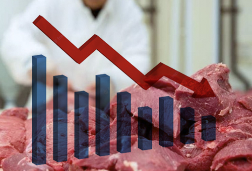 USDA prevé caída en la producción mundial de carne bovina para 2025 | CONtexto Ganadero