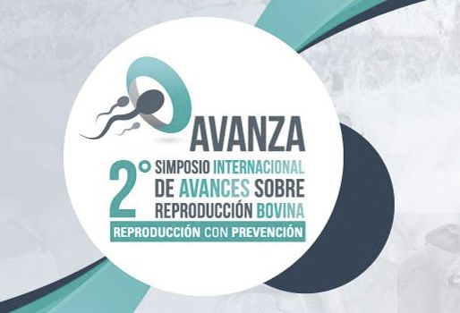 2° Simposio Internacional de Avances sobre Reproducción Bovina, msd salud animal colombia, avanza 2019, Simposio Internacional de avances sobre reproducción Bovina, ganadería, reproducción bovina, reproducción bovina en colombia, MSD Salud Animal, Biotecnología reproducción bovina, reproducción bovina, ganadería colombia, contexto ganadero, noticias ganaderas Colombia