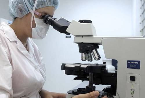 ganadería, ganadería colombia, noticias ganaderas, noticias ganaderas colombia, contexto ganadero, producción ganadera, producción ganadera sostenible, desparasitar bovinos, tiempo para desparasitar bovinos, ciclo de vacunación, vacunación contra aftosa y brucelosis bovina, desparasitar antes de vacunar , principios básicos para desparasitar, manejo de praderas, manejo de praderas para contagio de parásitos 