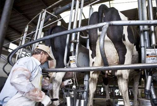 Colombia, leche, consumo, pacto por el crecimiento del sector lechero, pacto sector lechero 2020, ganaderos, industriales, Estado, fomento al consumo de leche en estratos de bajos recursos, generación de empleo, Vicepresidencia de la República, fedegan, Analac, ICA, sanidad e inocuidad, Fondo Nacional del Ganado (FNG), coronavirus, coronavirus Colombia, COVID-19, cuarentena, Ganadería, ganadería colombia, noticias ganaderas, noticias ganaderas colombia, CONtexto ganadero