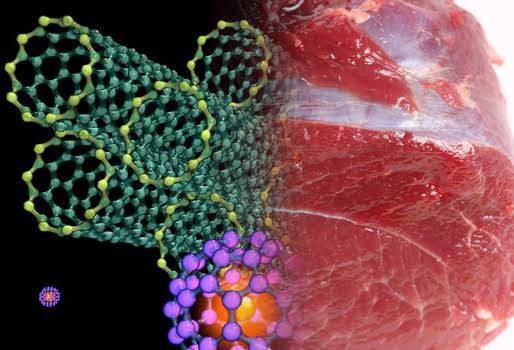 nanotubos fluorescentes carne 