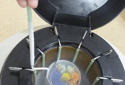 Ganadería, ganadería colombia, noticias ganaderas, noticias ganaderas colombia, CONtexto ganadero, semen bovino, descongelación semen bovino, congelación semen bovino, espermatozoides bovinos, criopreservación espermatozoides
