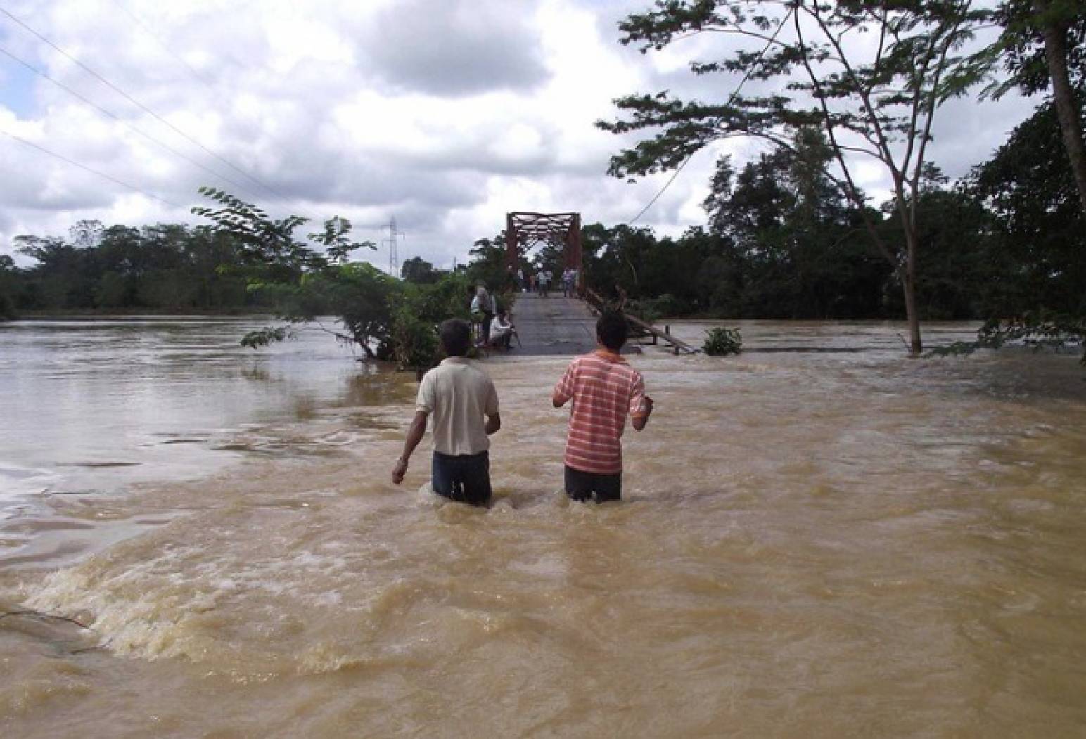 Ganadería, ganadería colombia, noticias ganaderas, noticias ganaderas colombia, CONtexto ganadero, Fenómeno de la Niña, la niña, la niña en colombia, la niña 2020, fenómeno de la niña en colombia, fenómeno de la niña 2020 en colombia, IDEAM, ideam pronostico fenómeno de la niña, NOAA, noaa fenómeno de la niña, yolanda gonzález ideam