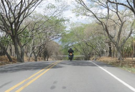 Ganaderos San Vicente del Caguán enero 2019, ganaderos San Vicente del Caguán Caquetá, ganaderos Caquetá 2019, ganaderos Caquetá, vía San Vicente del Caguan Neiva, Invías, vías Caquetá, vía Caquetá Huila, ganaderos San Vicente del Caguán vía Neiva, CONtexto ganadero, ganaderos colombia, noticias ganaderas colombia