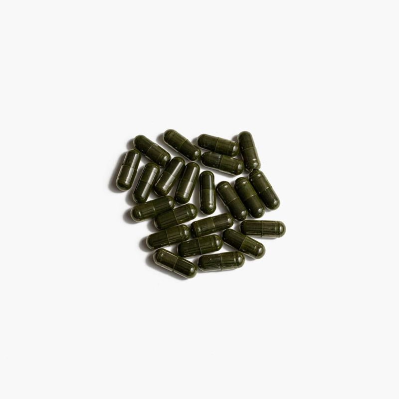 Chlorella