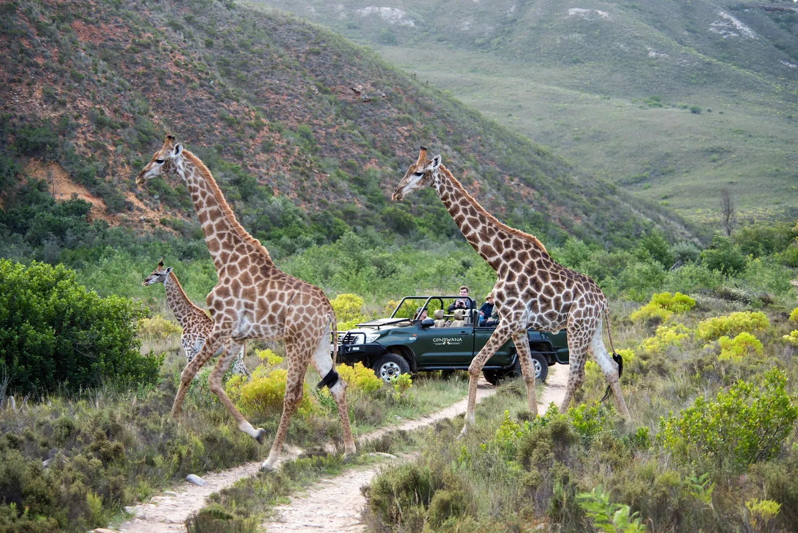SOUTH AFRICA
