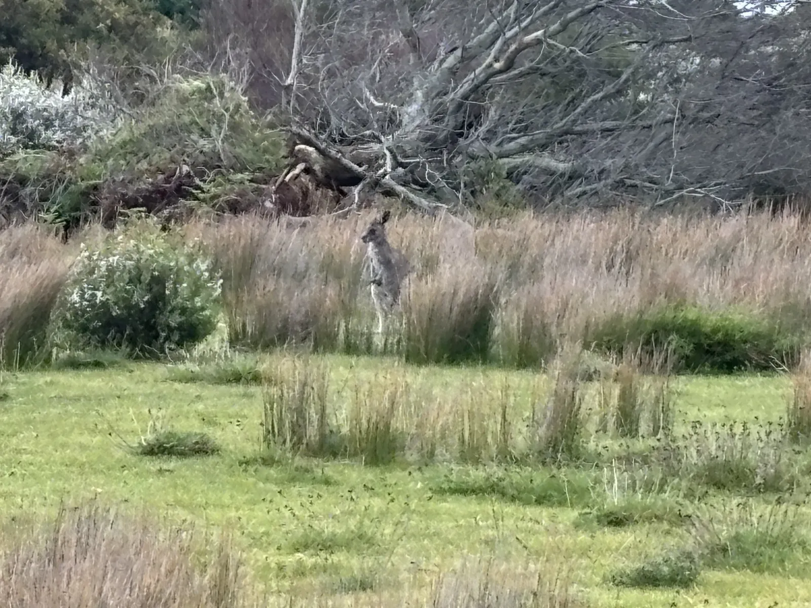 Wilson Promontory Park