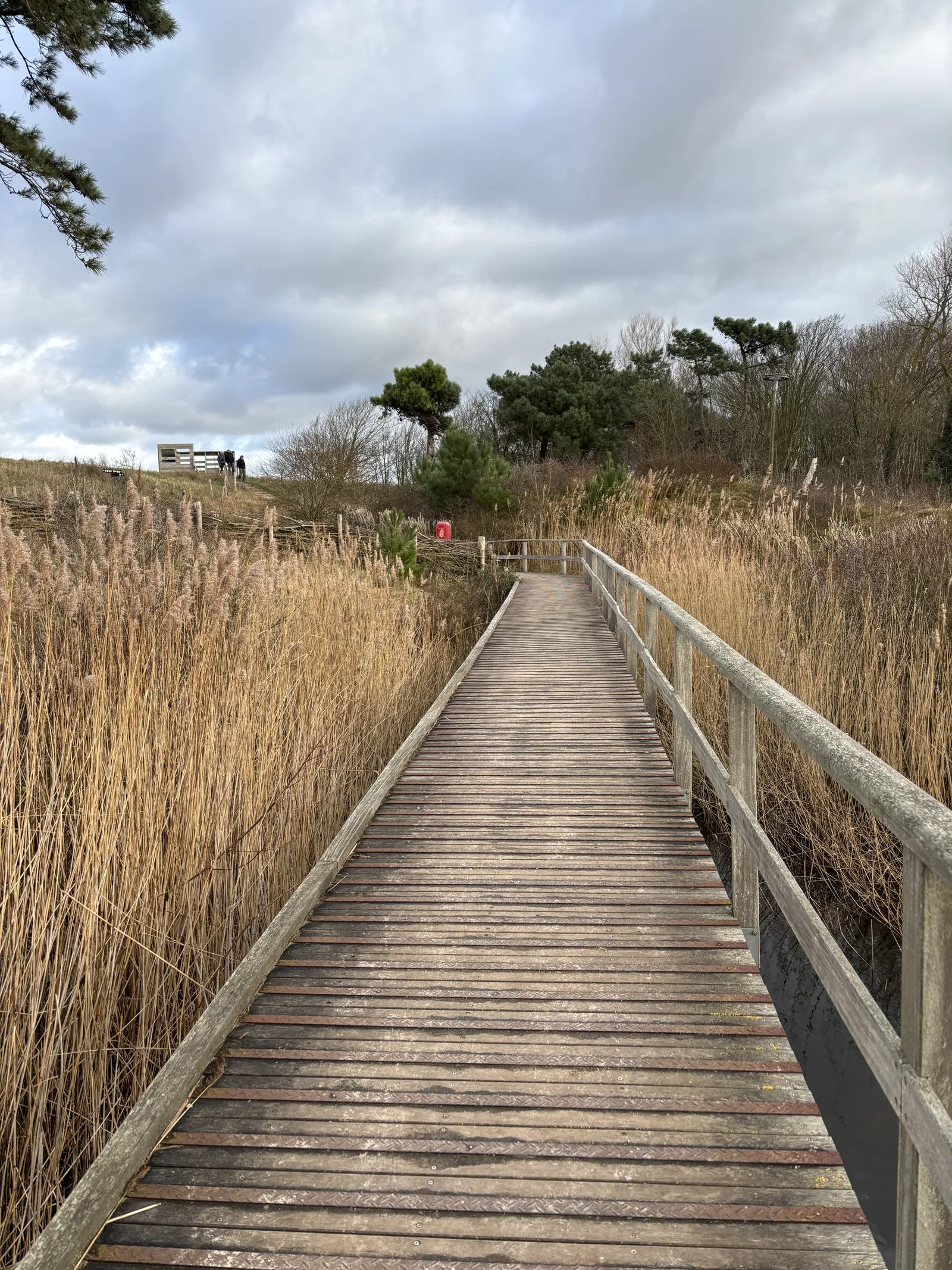 Zwin Natuur Park