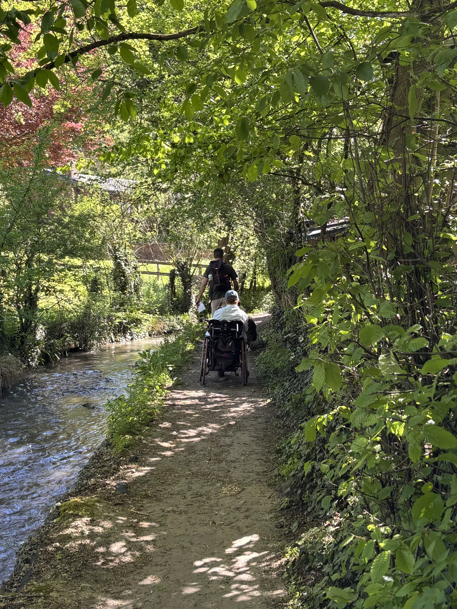 Wandelen door het heuvelend landschap