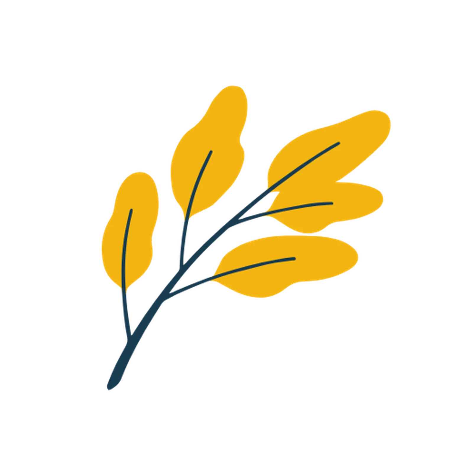 Baerekracht