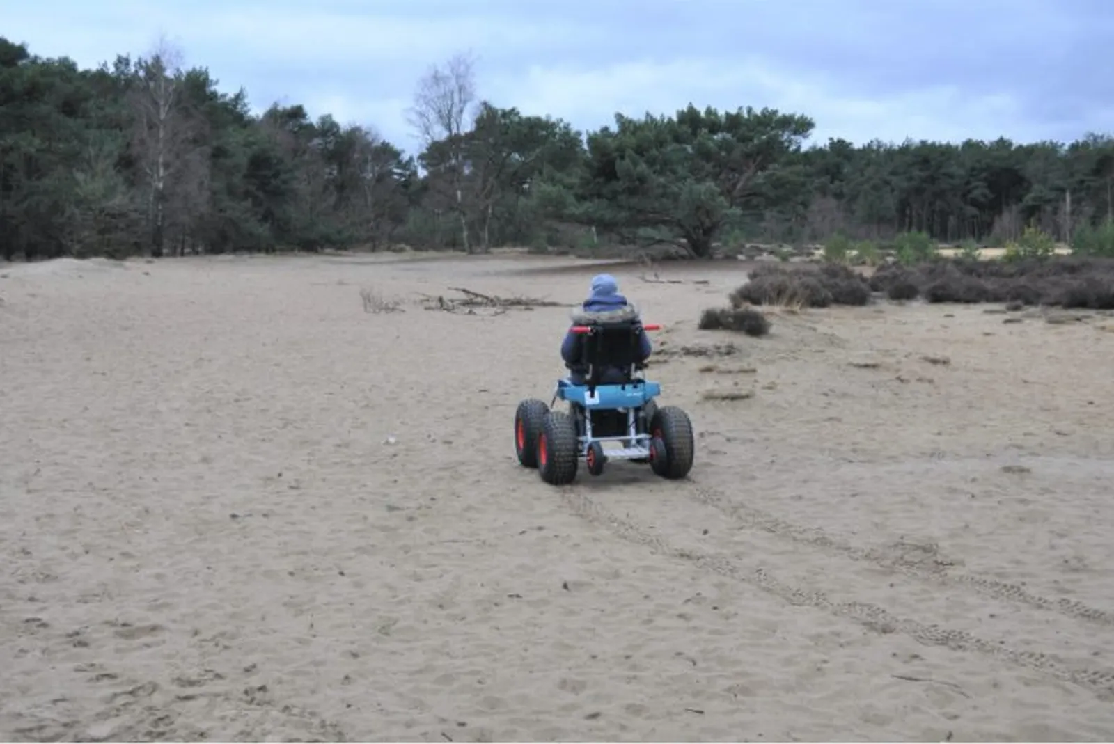 Heide in het Grenspark