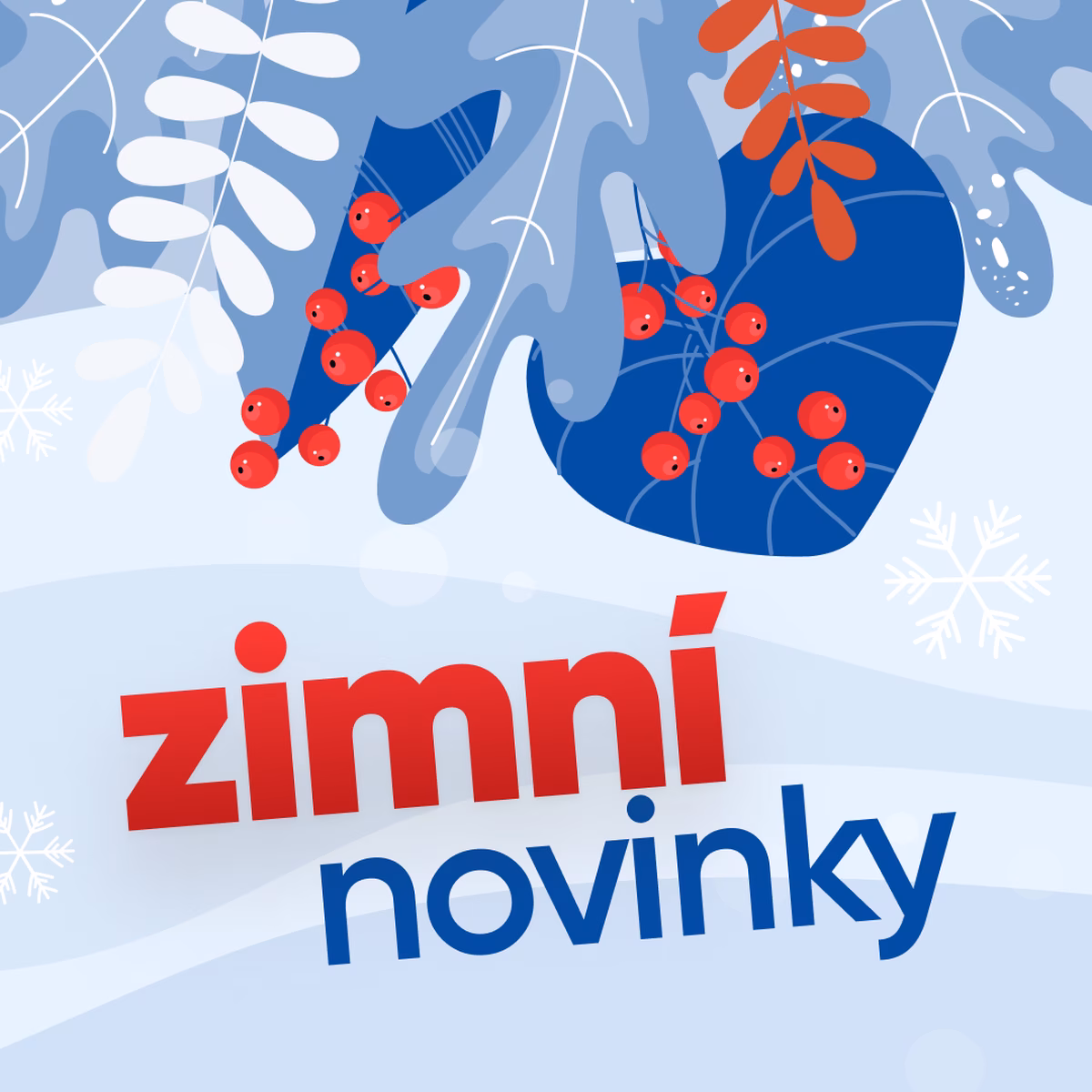 Zimní novinky 2024 v Ecomailu