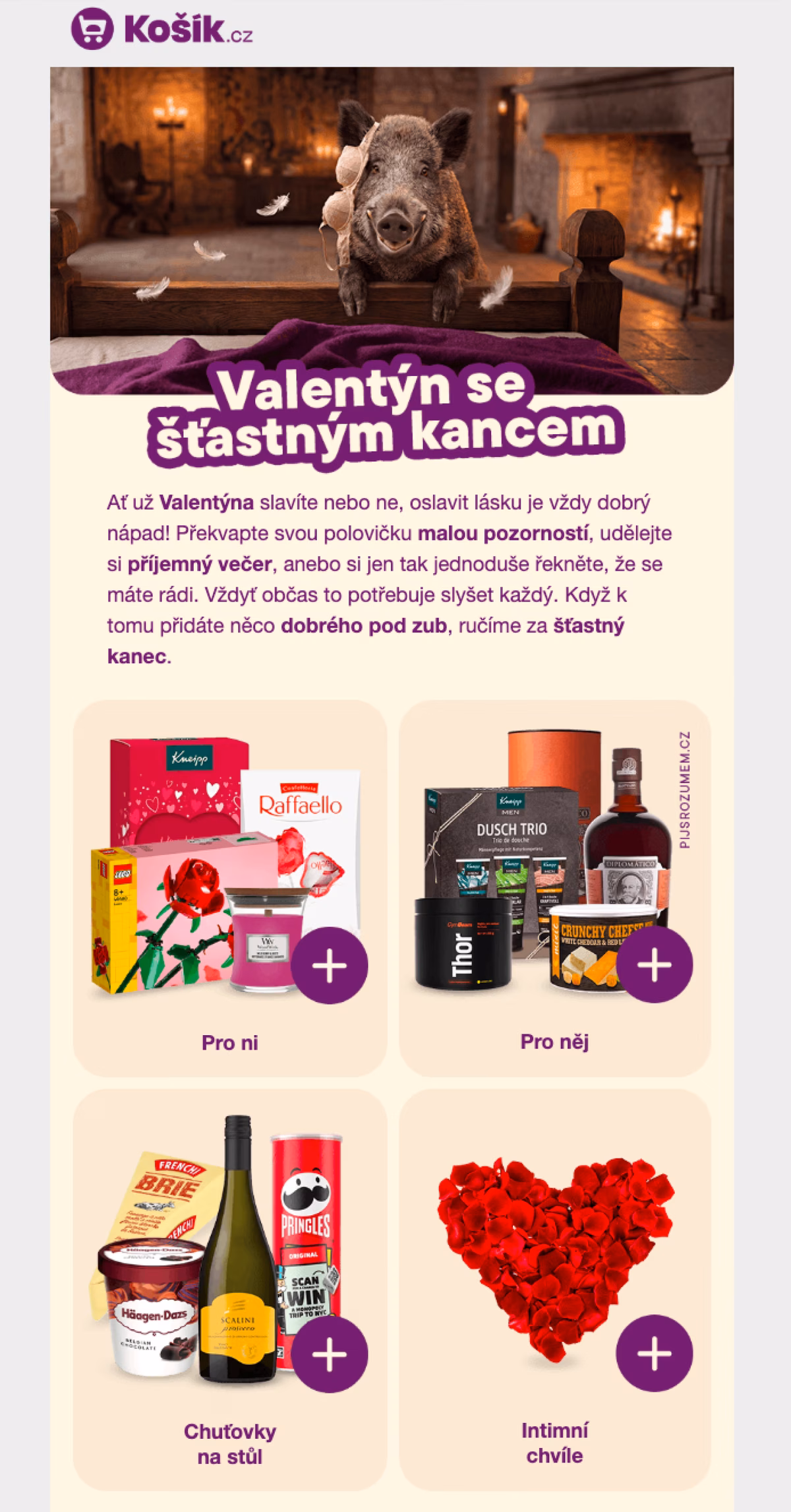 Newsletter ukázka