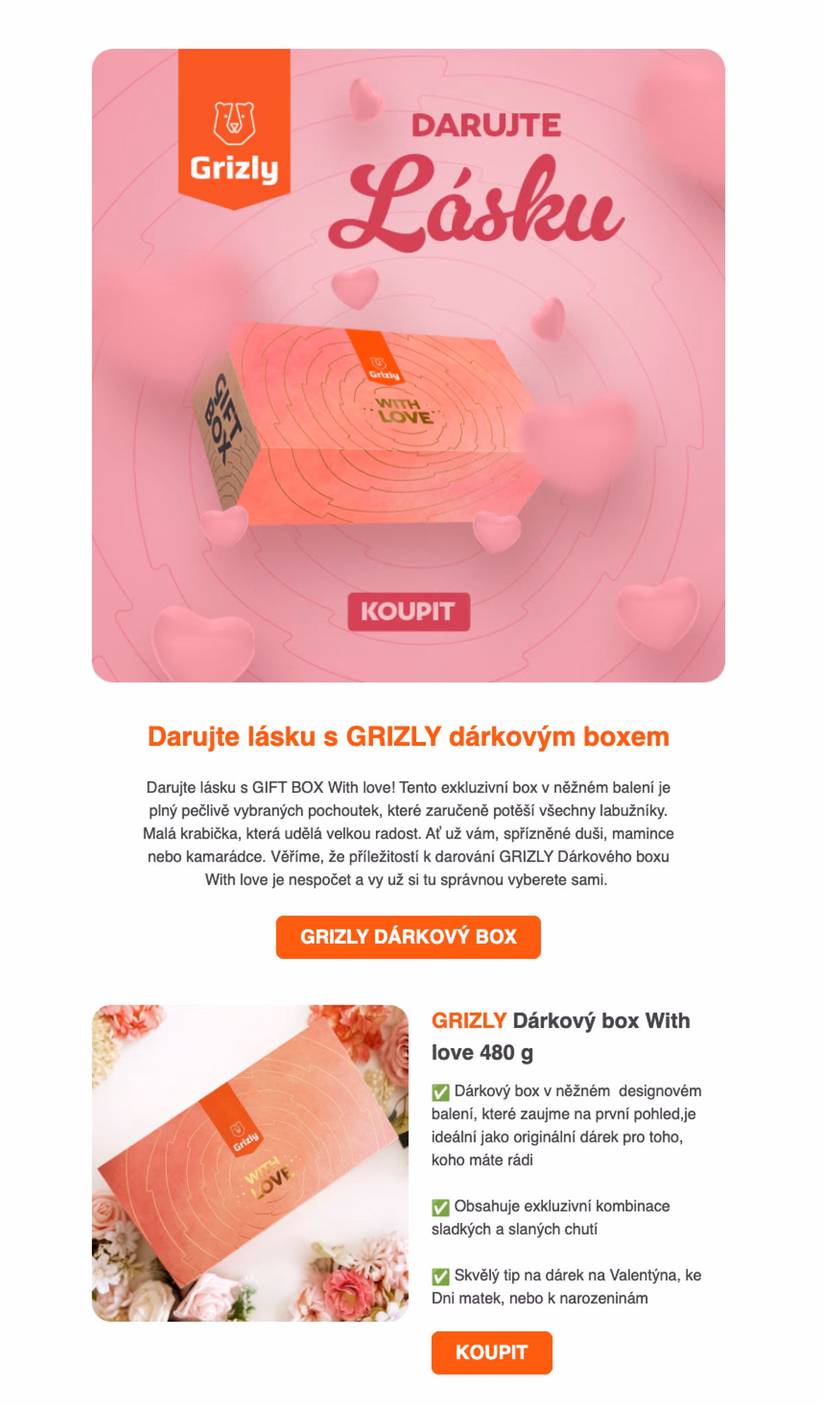 Ukázka newsletteru