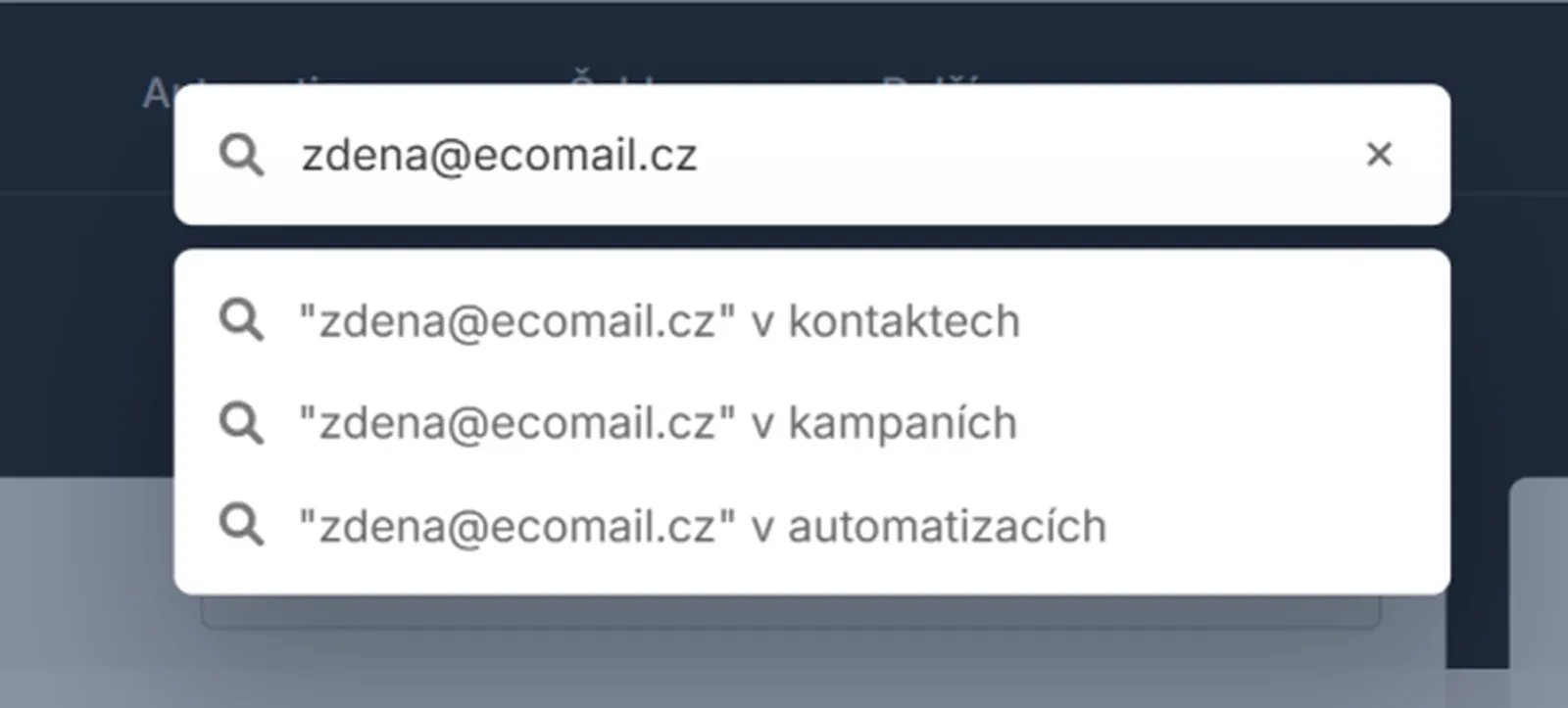 Možnost vyhledávání v aplikaci Ecomail