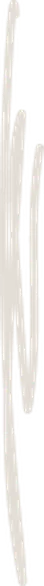 Stroke