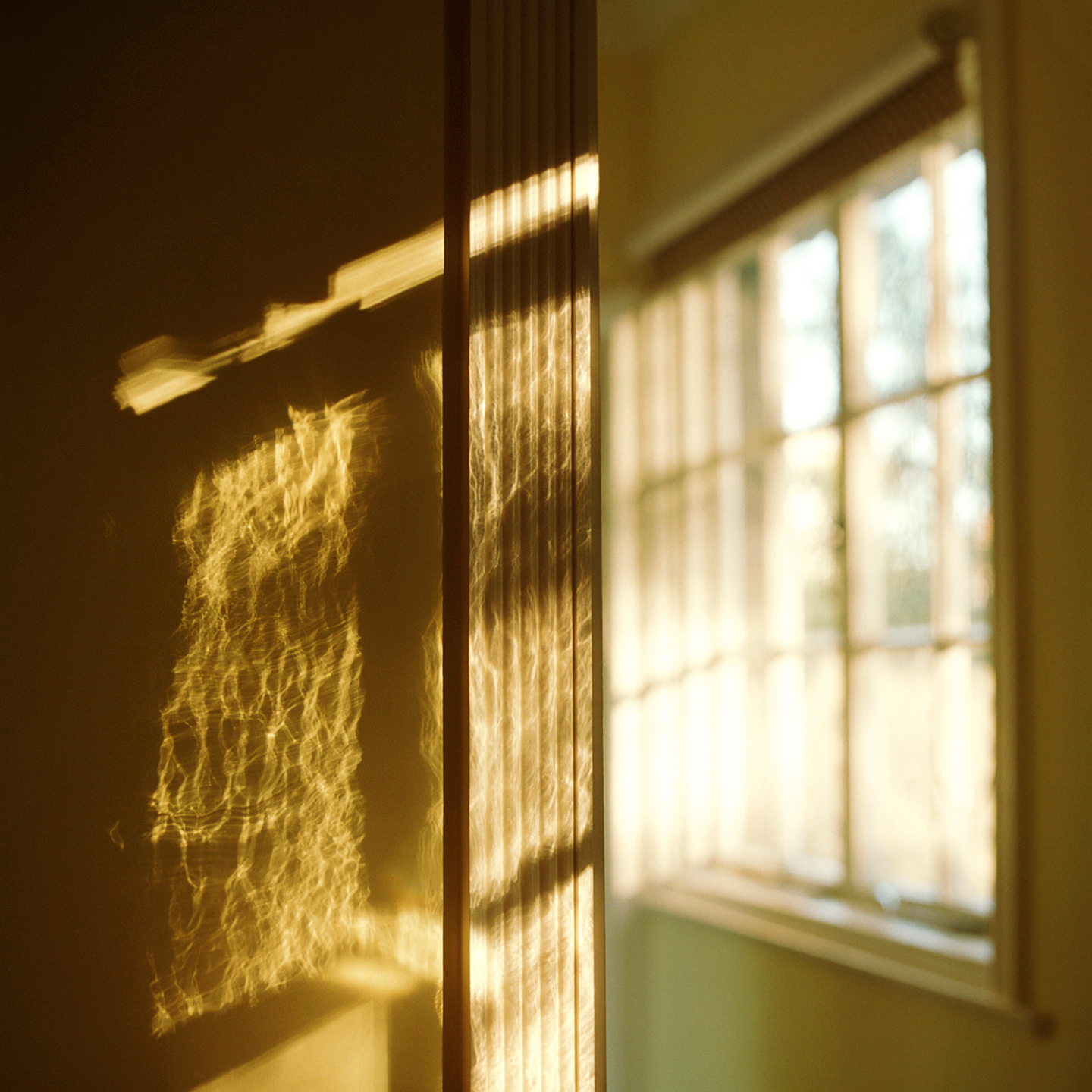 Still here | Projects | Lydia Goldblatt