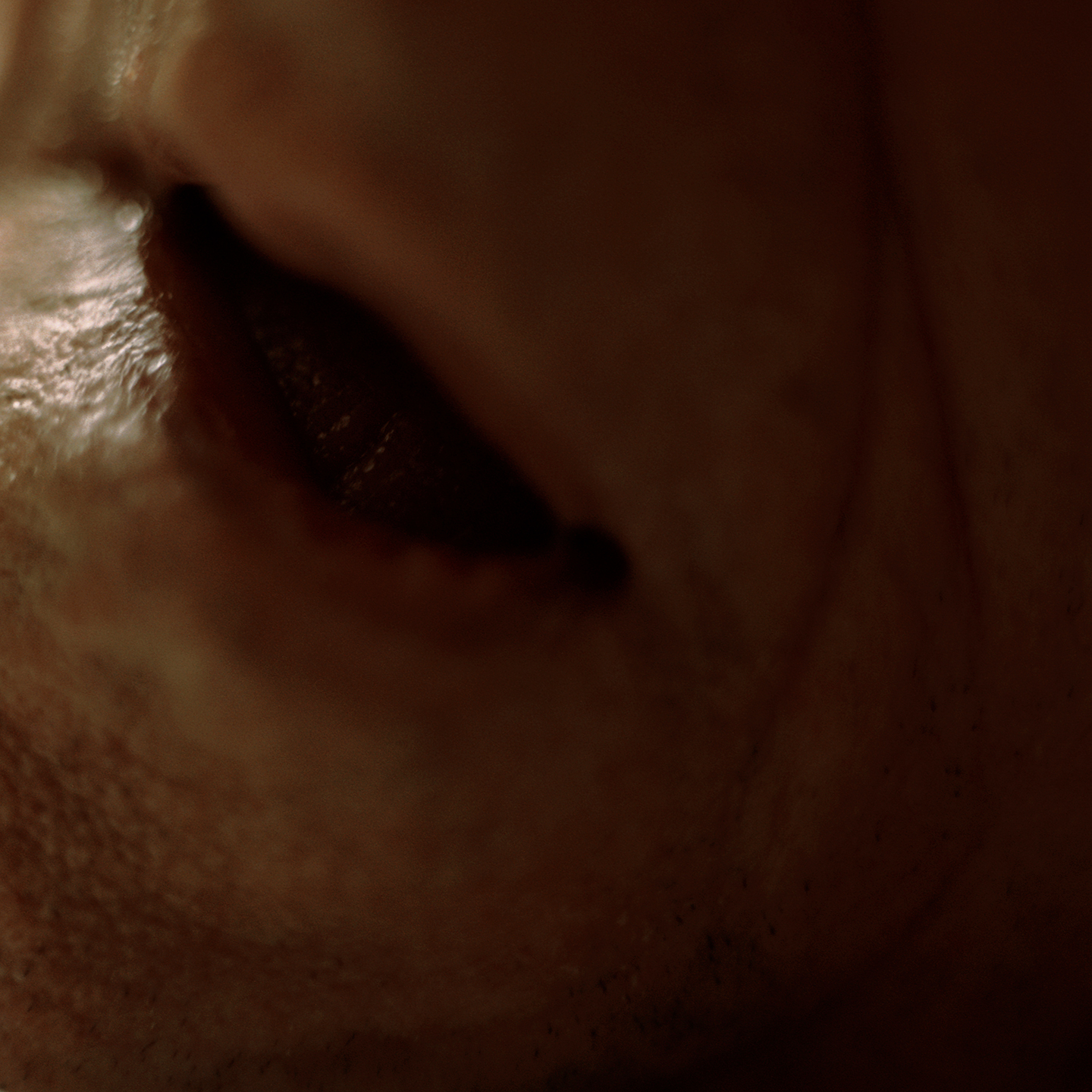 Still here | Projects | Lydia Goldblatt