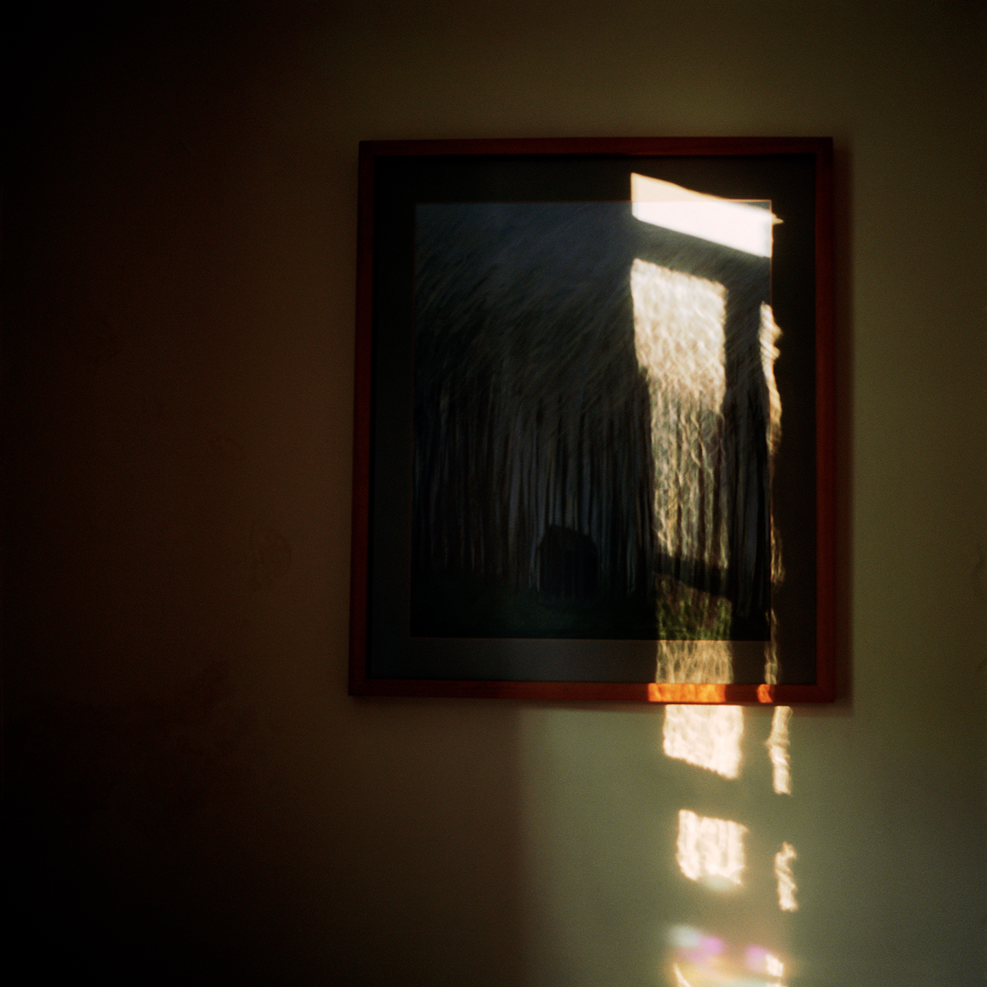 Still here | Projects | Lydia Goldblatt