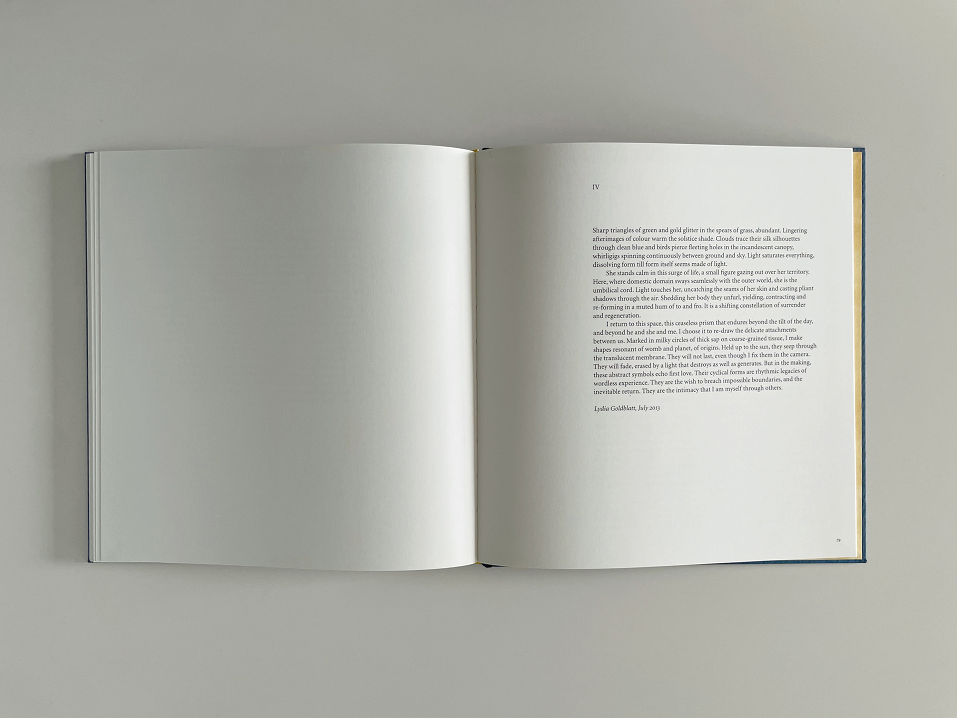 Still Here　Lydia Goldblatt Still here | Projects | Lydia Goldblatt