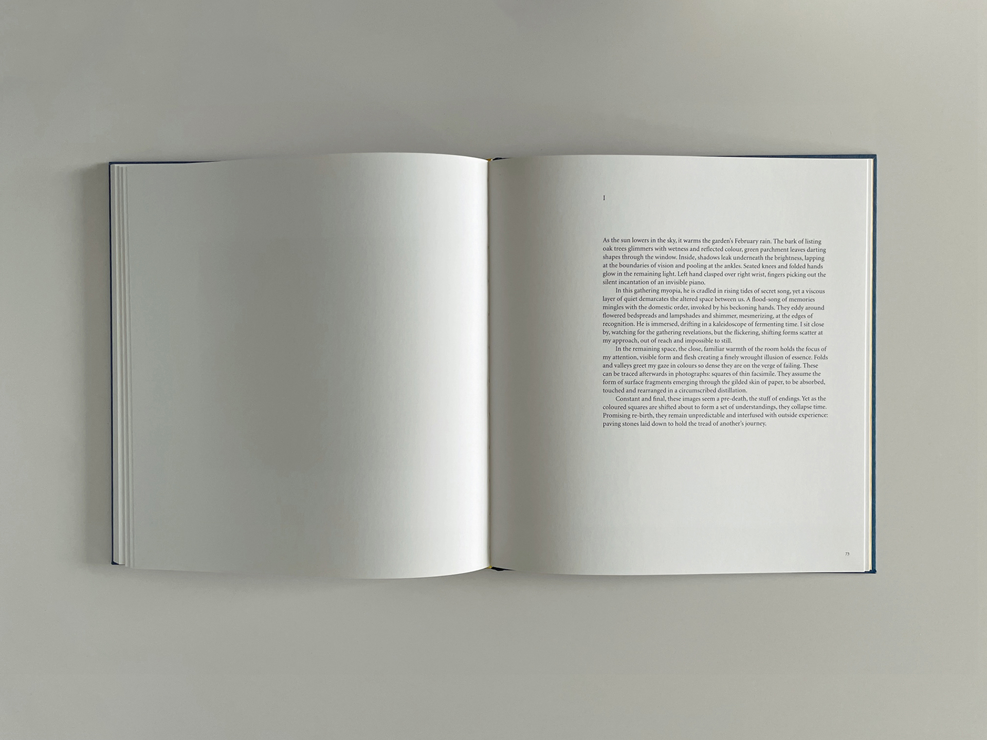 Still here | Projects | Lydia Goldblatt