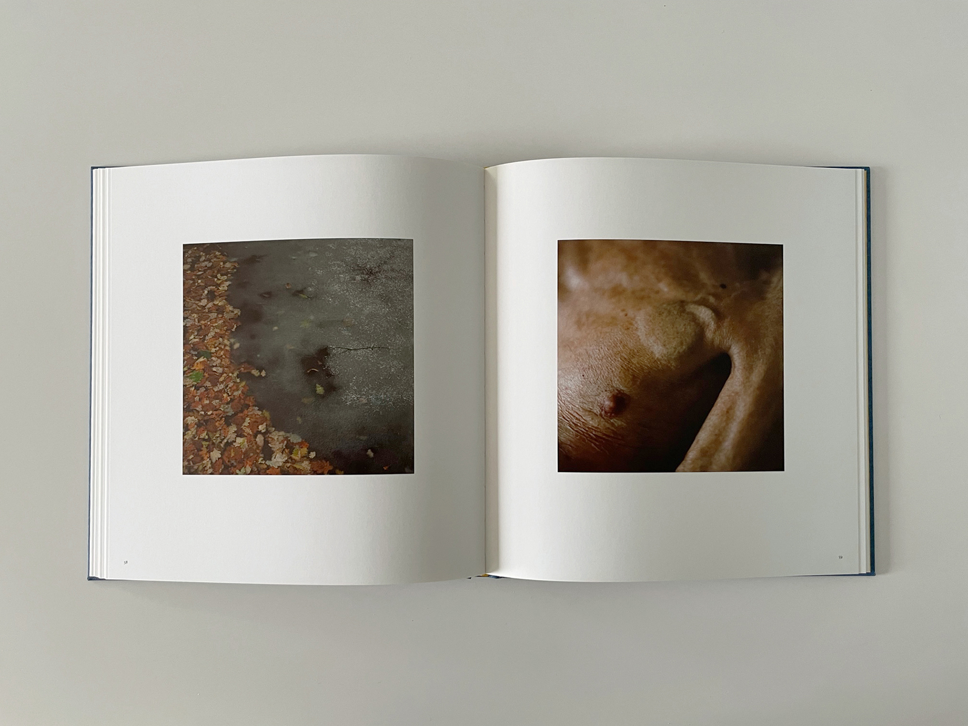 Still here | Projects | Lydia Goldblatt