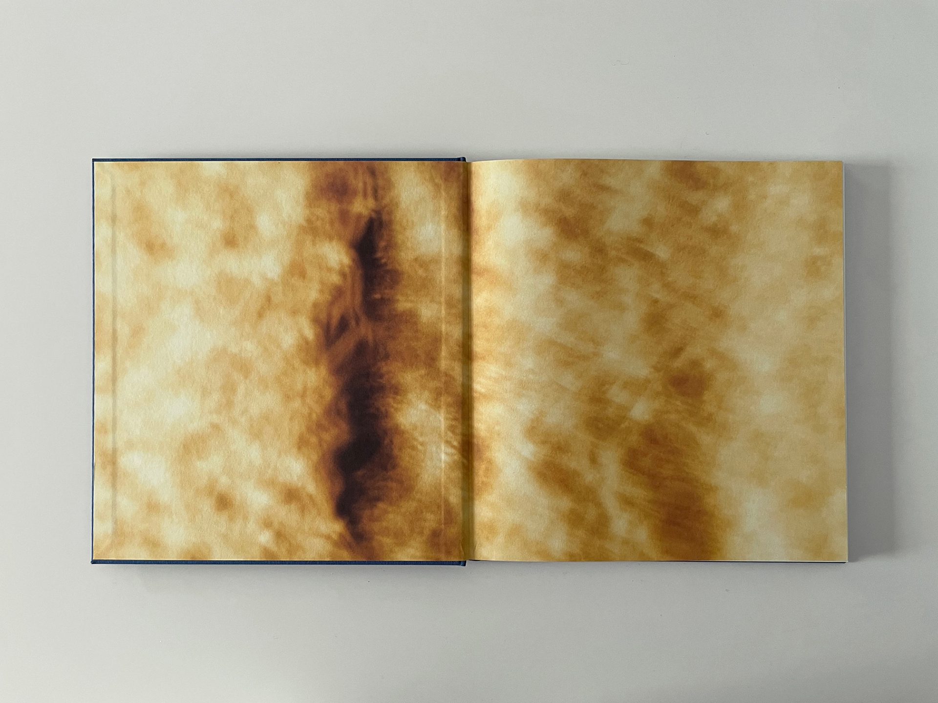 Still here | Projects | Lydia Goldblatt